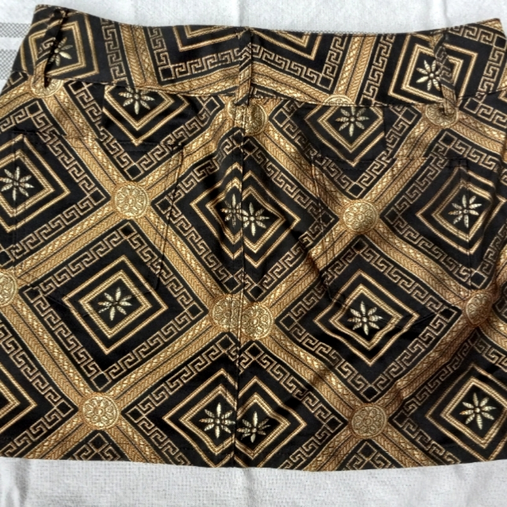 Size 4 Alice + Olivia Skirt